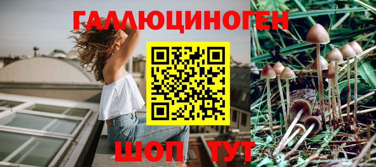 Черкесск  Галлюциногенные грибы MAGIC MUSHROOMS  где можно купить   Псилоцибиновые грибы прущие грибы  Вход с VPN 