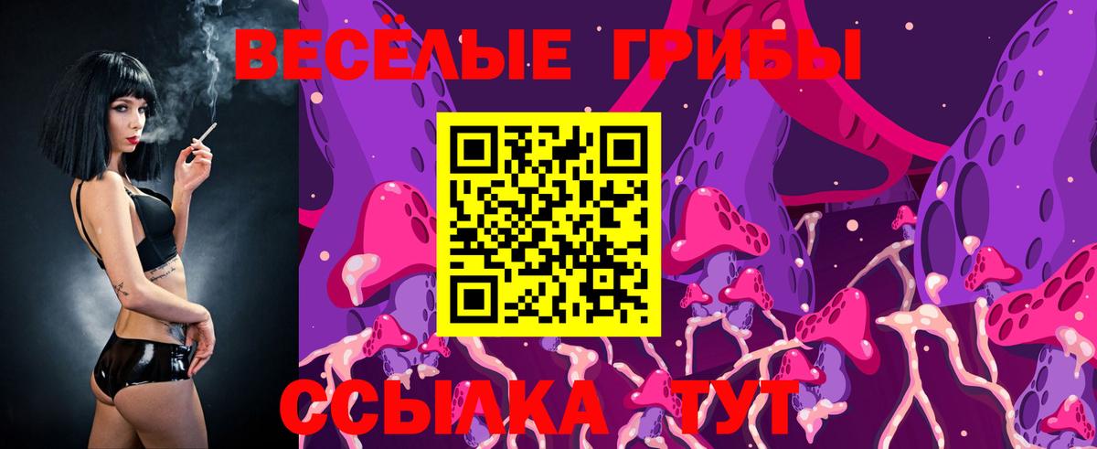 Галлюциногенные грибы Cubensis Черкесск